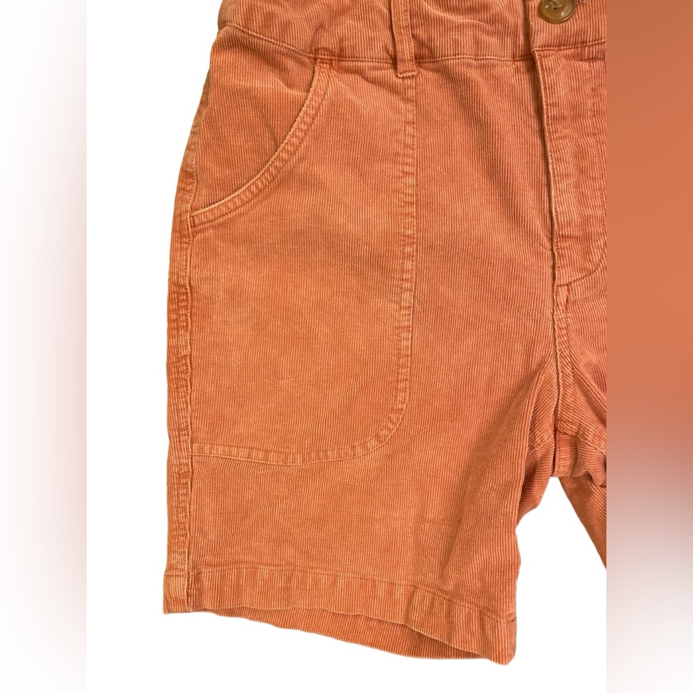 Marine Layer Corduroy Surf Short In Baked Clay View 3
